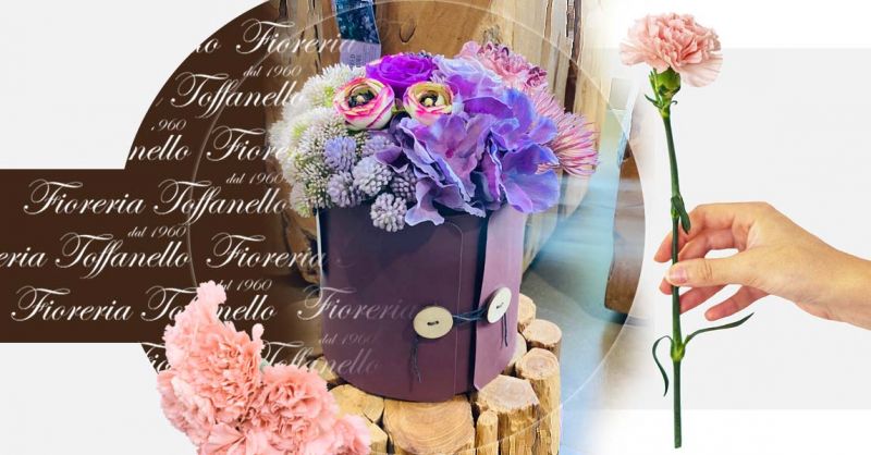 Offerta Fiori Secchi Stabilizzati Vendita Online Box floreale Consegna a Domicilio